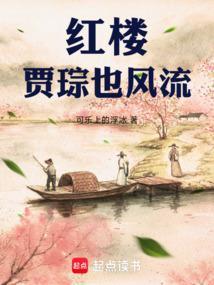 穿越红楼贾琮的推荐