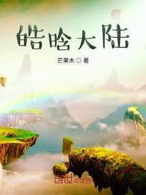 皓皓是哪个明星