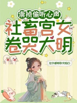 大明崇祯第一权臣女主