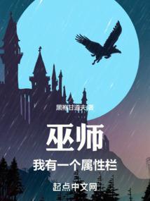 巫师描述